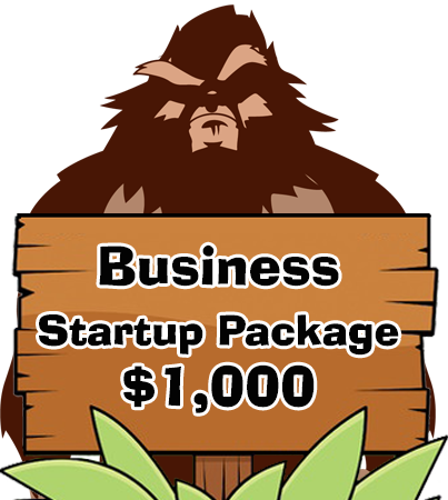 Biz Startup Pkg.